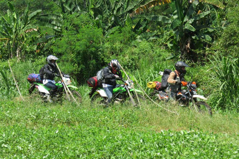 Tour De Moto Por Bali Reserve Online Em Civitatis