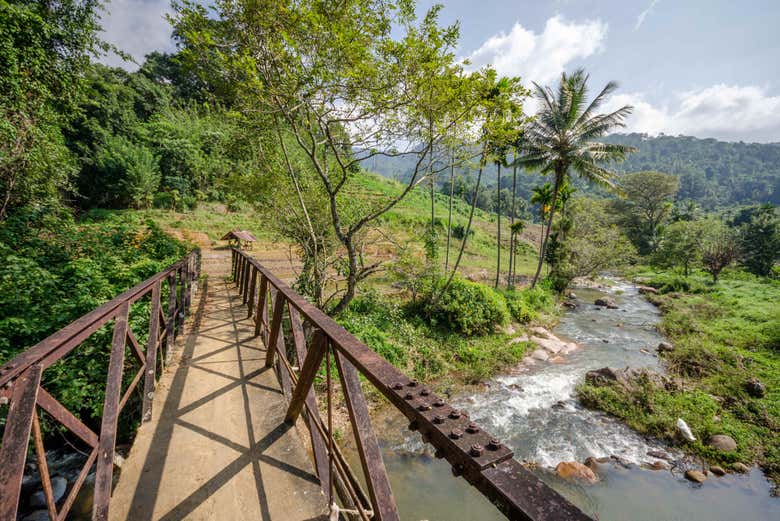 Randonnée privée dans la cordillère Knuckles depuis Kandy