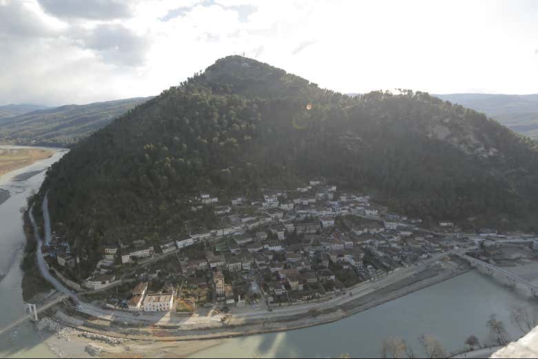 Imagen 7