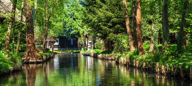 Escursione alla Spreewald