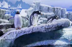Entradas a SEA LIFE® Constanza