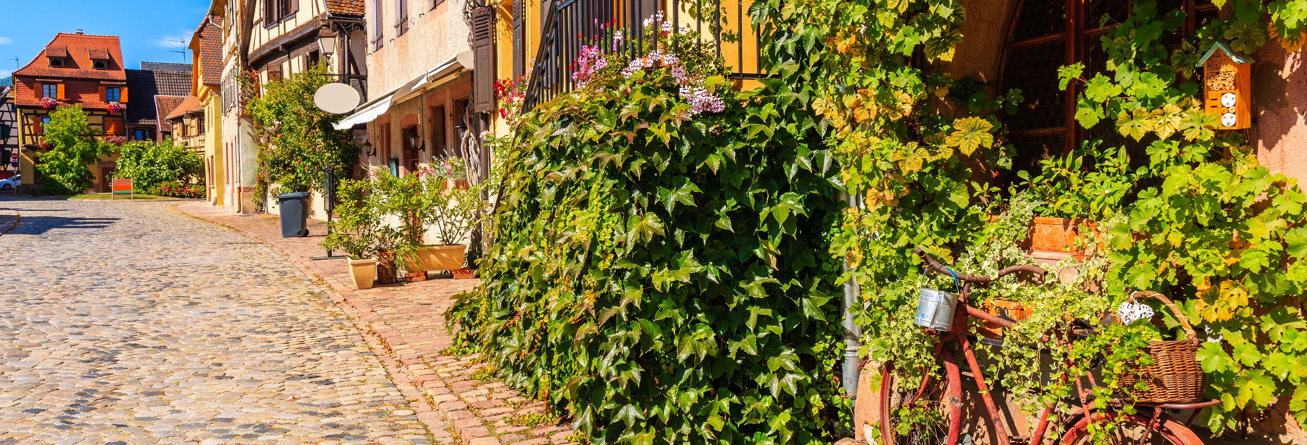 Excursão aos povoados da Alsácia e ao castelo de Haut-Koenigsbourg