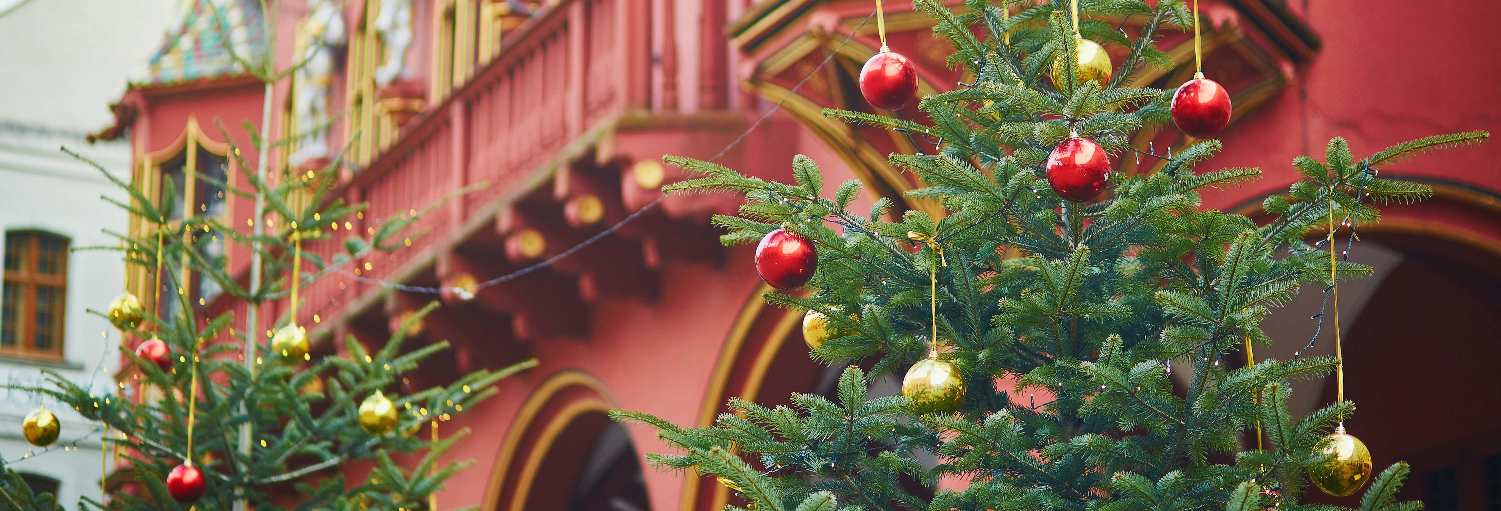 Freiburg Christmas Market Tour