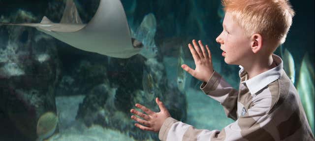 Biglietti per il SEA LIFE® Hannover