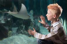 SEA LIFE® Ticket