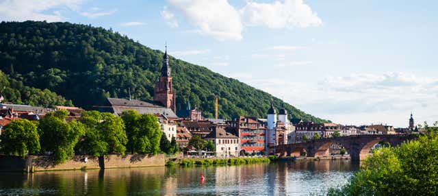 Private Tour of Heidelberg
