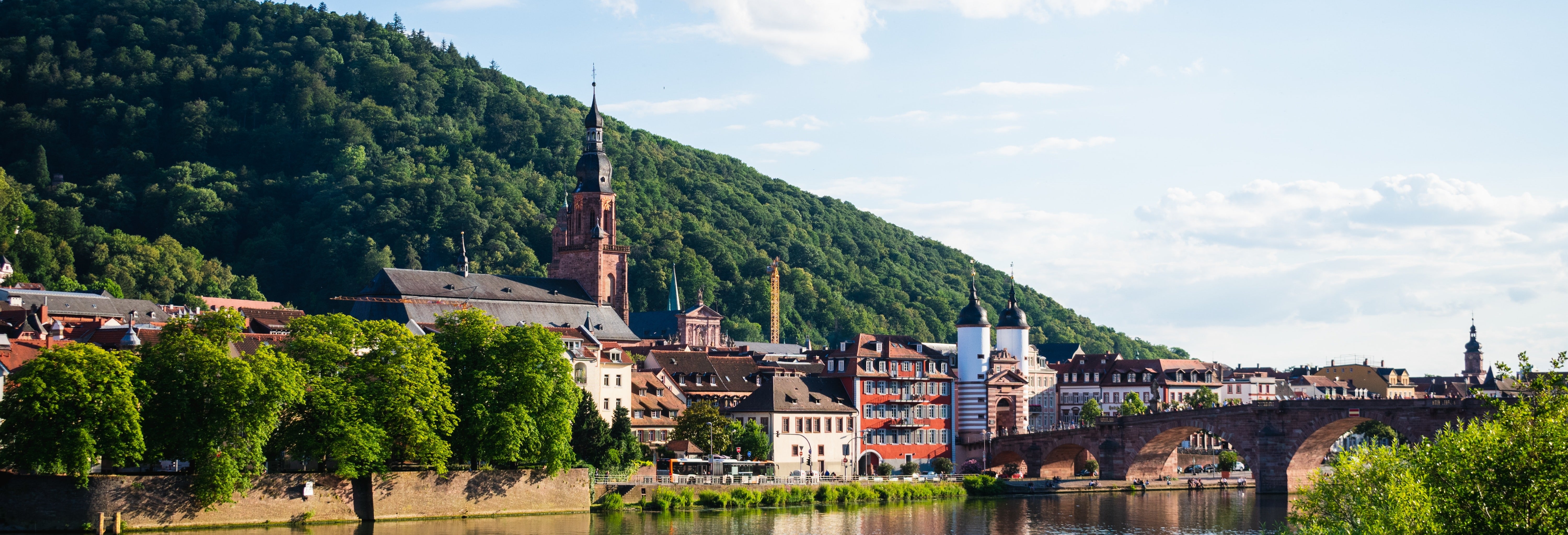 Tour privado por Heidelberg