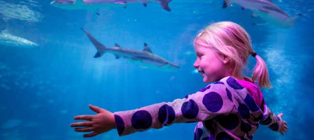 Biglietti per il SEA LIFE® Oberhausen