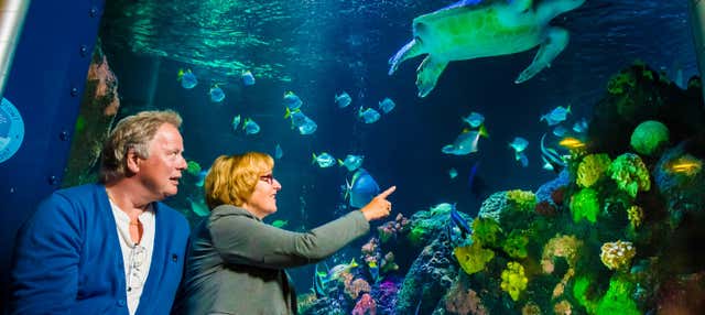 Biglietti per il SEA LIFE® Timmendorfer Strand