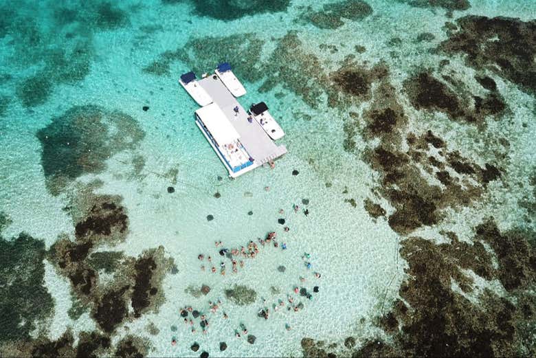 Discover the turoquoise waters of Stingray City - Discover the turoquoise waters of Stingray City