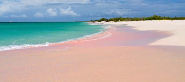 Escursione all'isola di Barbuda