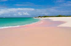Day Trip to the Island of Barbuda