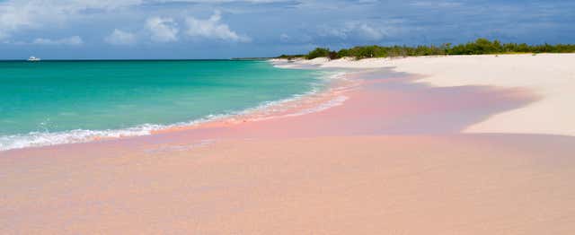 Excursion sur l'île de Barbuda