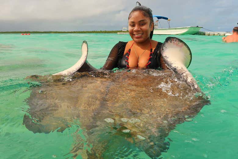Get up close to stingrays! - Get up close to stingrays!