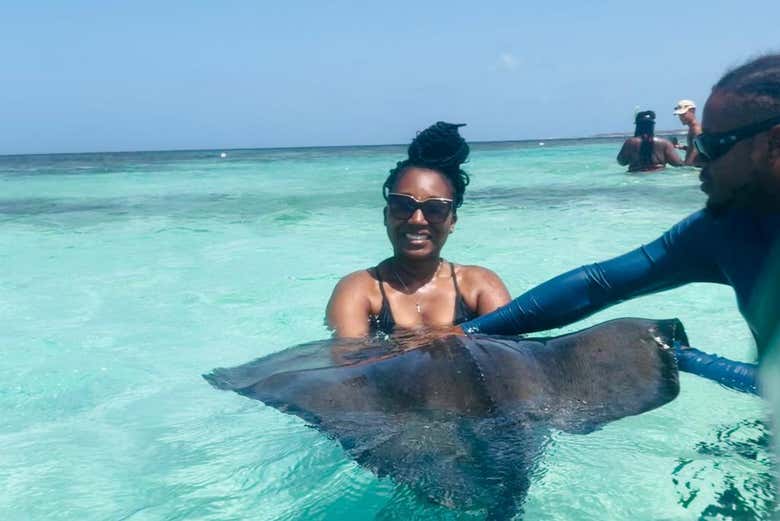 Say hi to these giant fish! - Say hi to these giant fish!