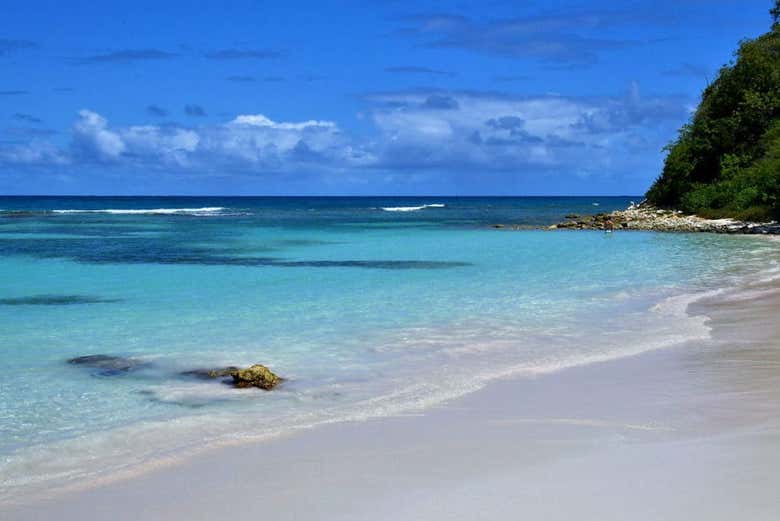 Un paisaje inolvidable de la playa Long Bay - Un paisaje inolvidable de la playa Long Bay