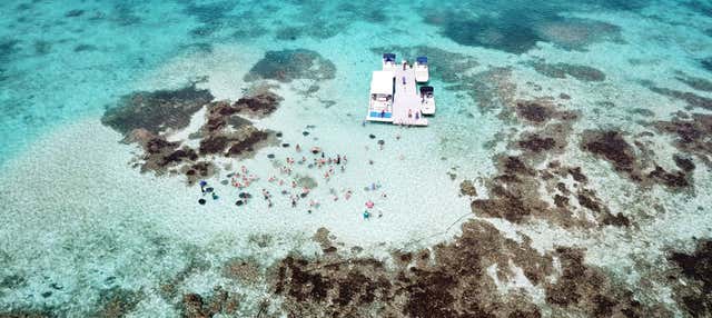 Avvistamento di razze a Stingray City Antigua