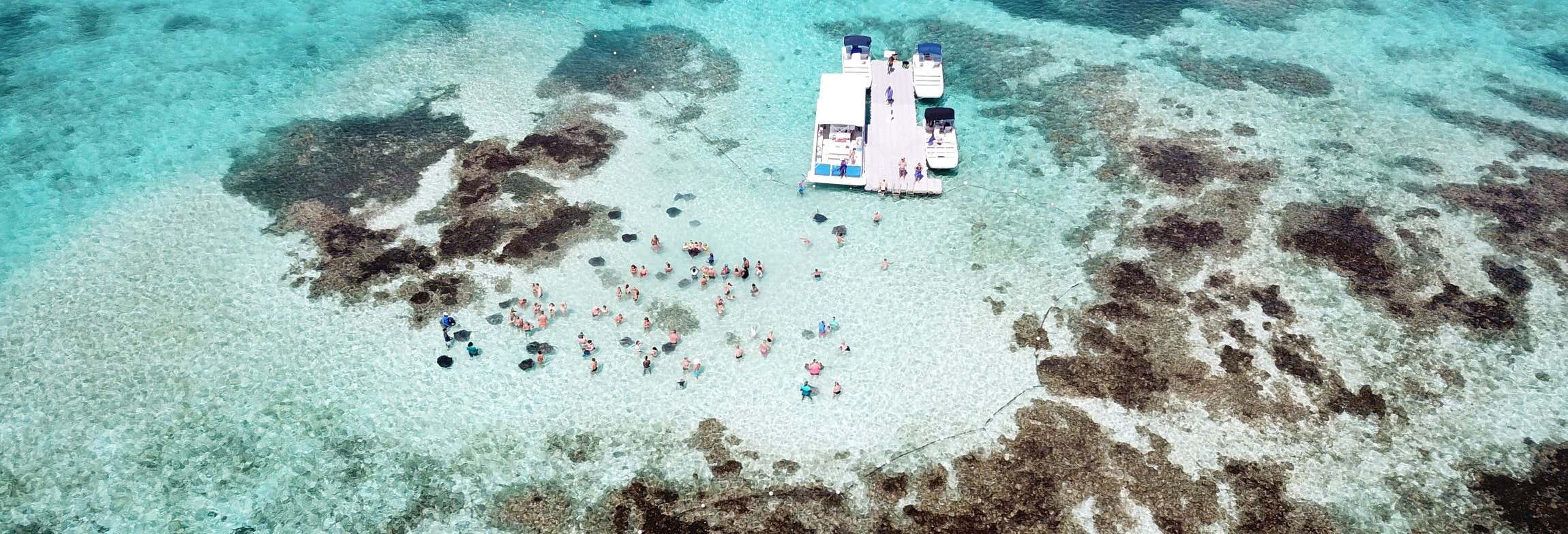 Avvistamento di razze a Stingray City Antigua