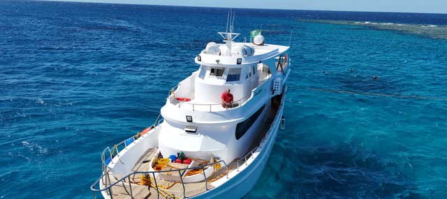 Giro in barca al tramonto a Gedda