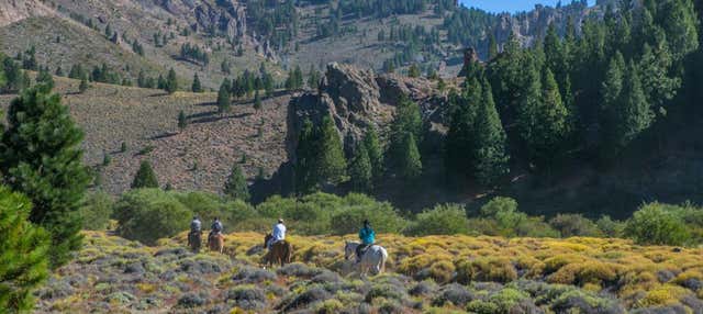 Escursione alla Estancia San Ramón