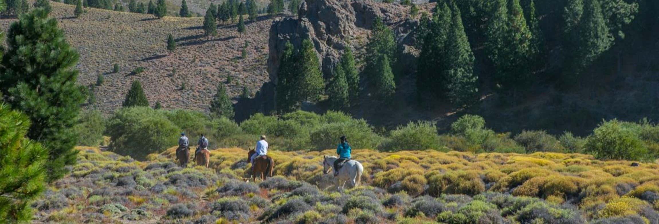 Escursione alla Estancia San Ramón