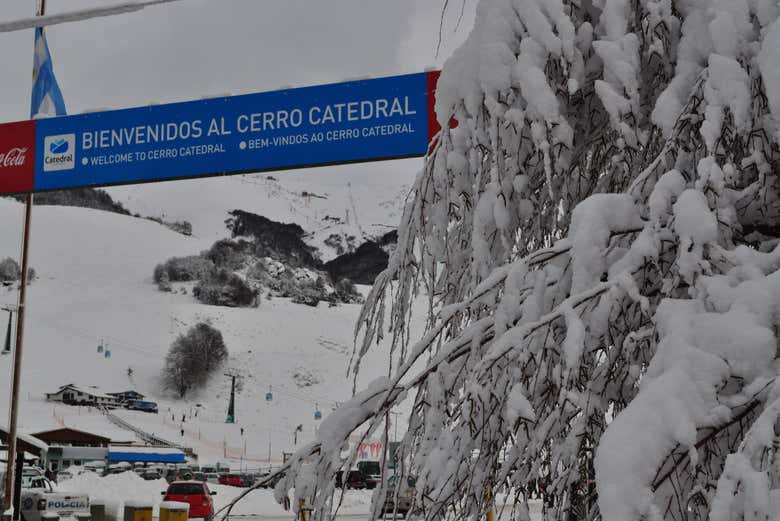 Imagen 8