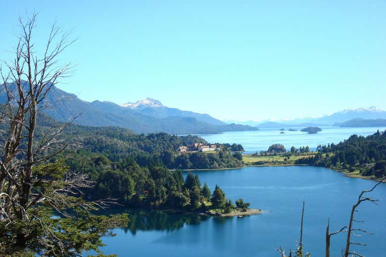 Imagen 5