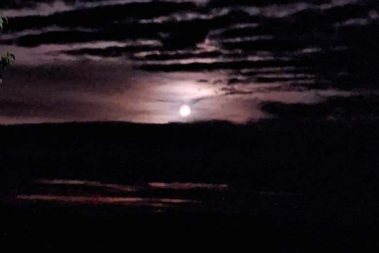 Imagen 7
