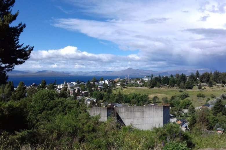 Imagen 7