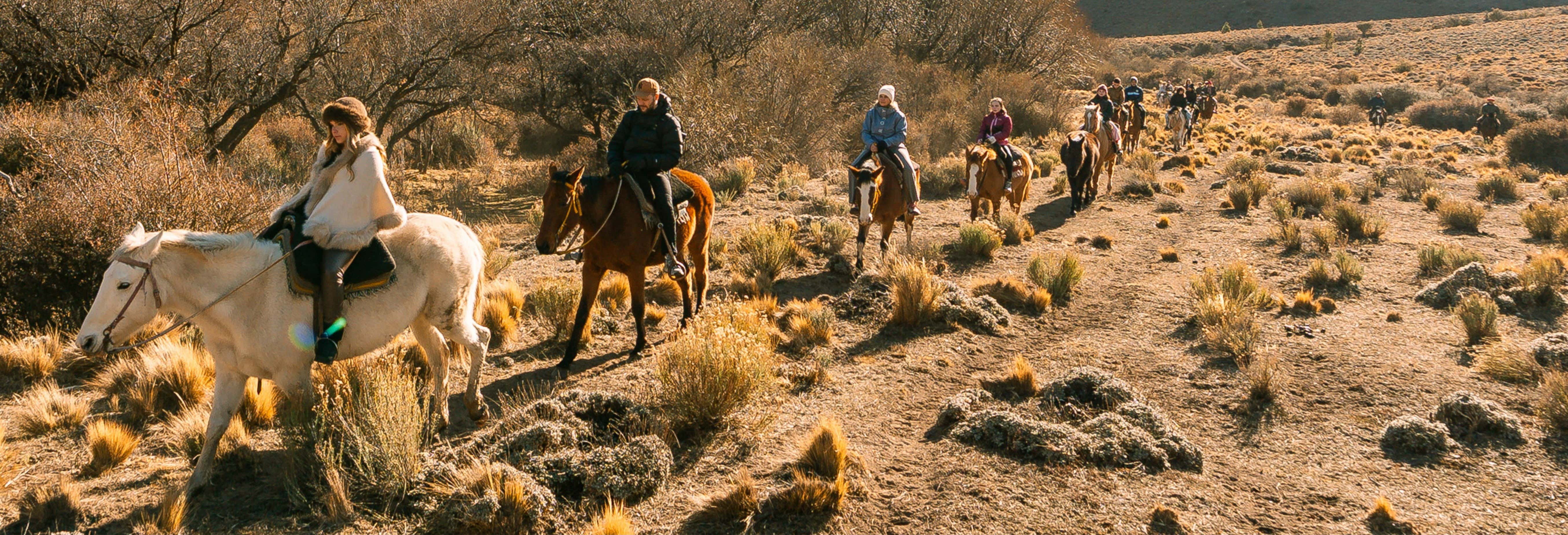 Passeggiata a cavallo a La Fragua nella tenuta San Ramón