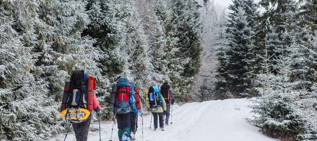 Passeggiata con le racchette da neve a Winter Park
