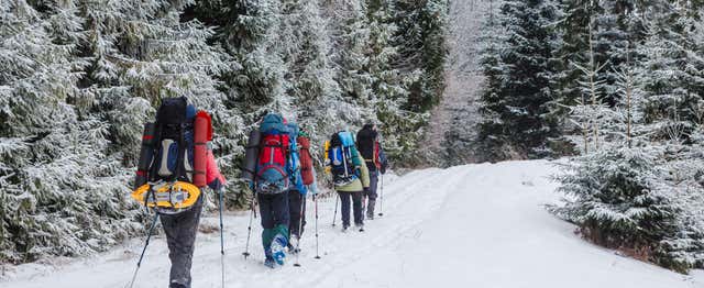 Paseo con raquetas de nieve por Winter Park, Bariloche - Reserva online en .com