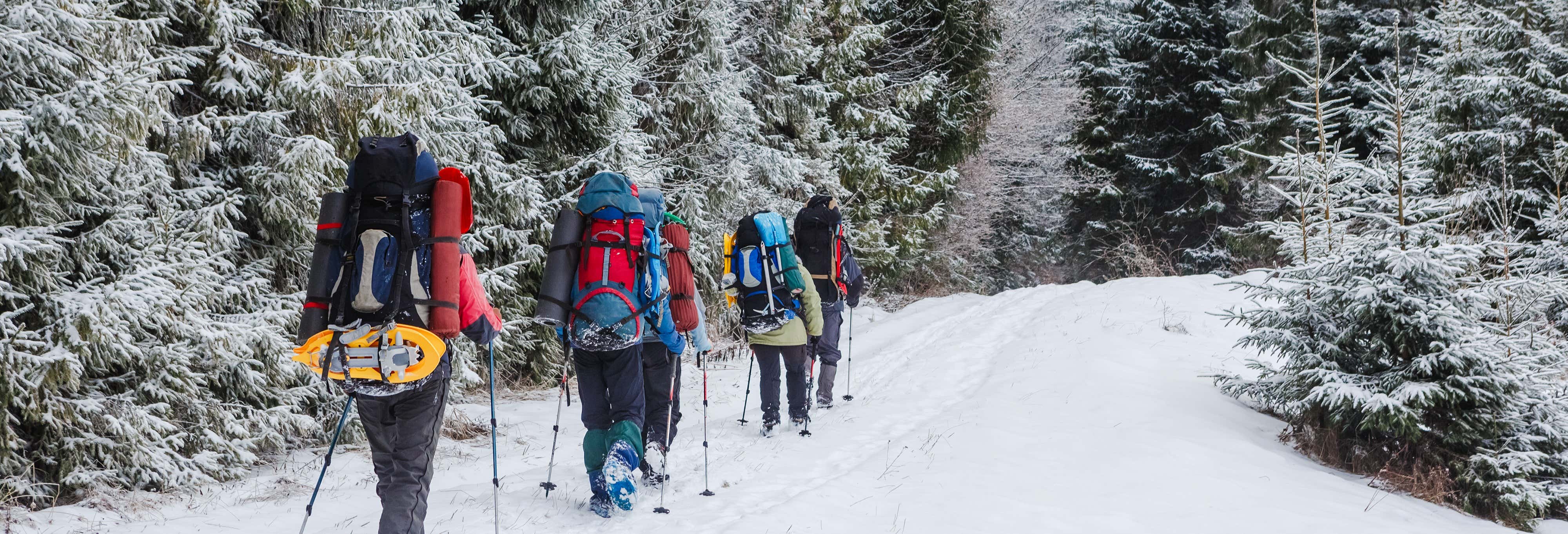 Passeggiata con le racchette da neve a Winter Park