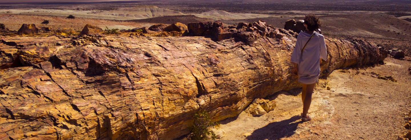 Petrified Forest Private Trip