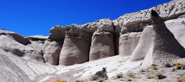 Escursione privata ai funghi di Tocota