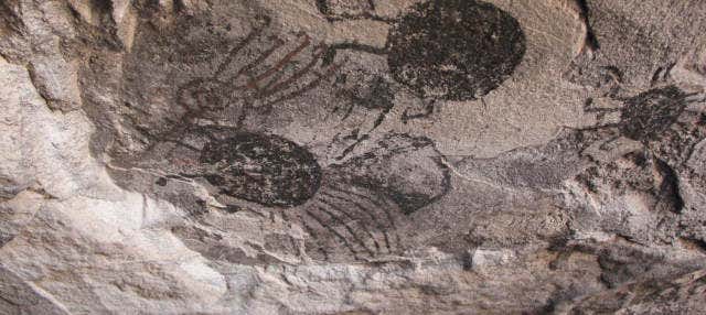 Escursione privata alla riserva di Los Morrillos