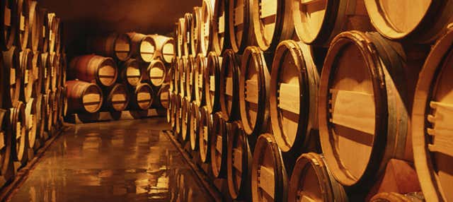 Tour privato della Valle di Calingasta + Degustazione di vini