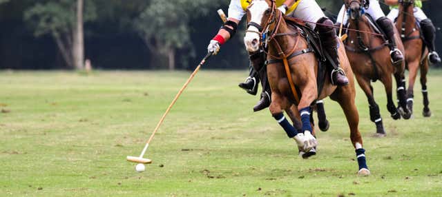 Partita di polo a Buenos Aires con guida locale