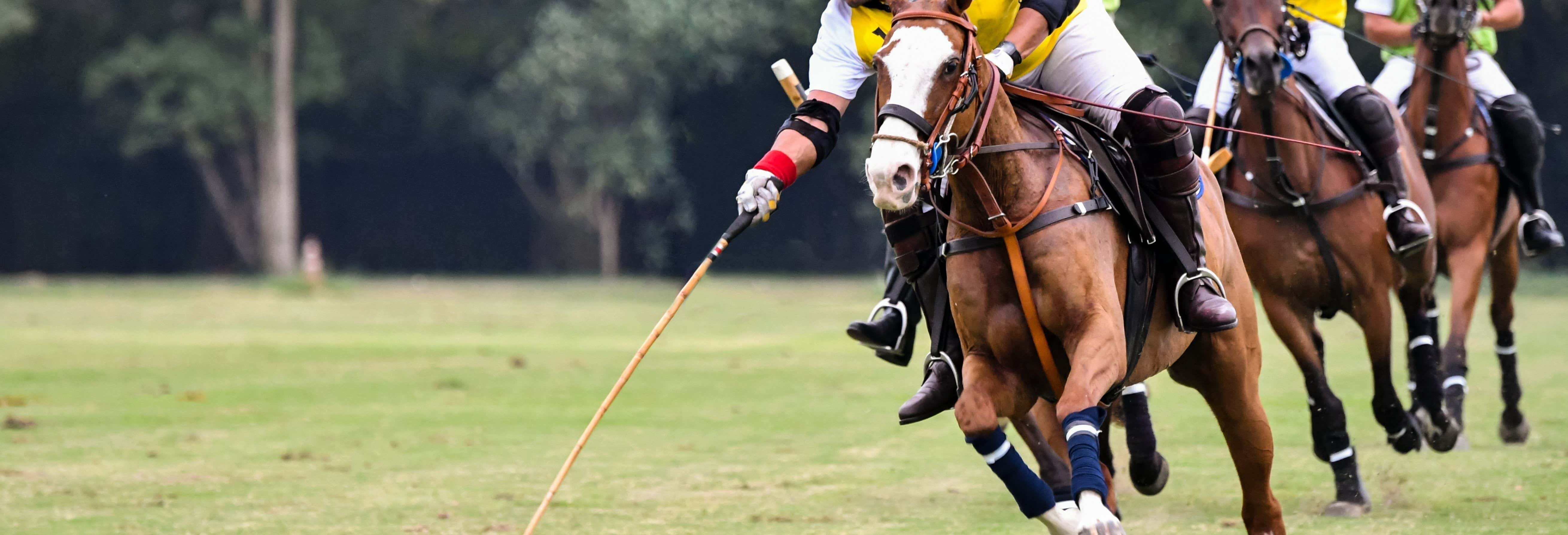 Partita di polo a Buenos Aires con guida locale
