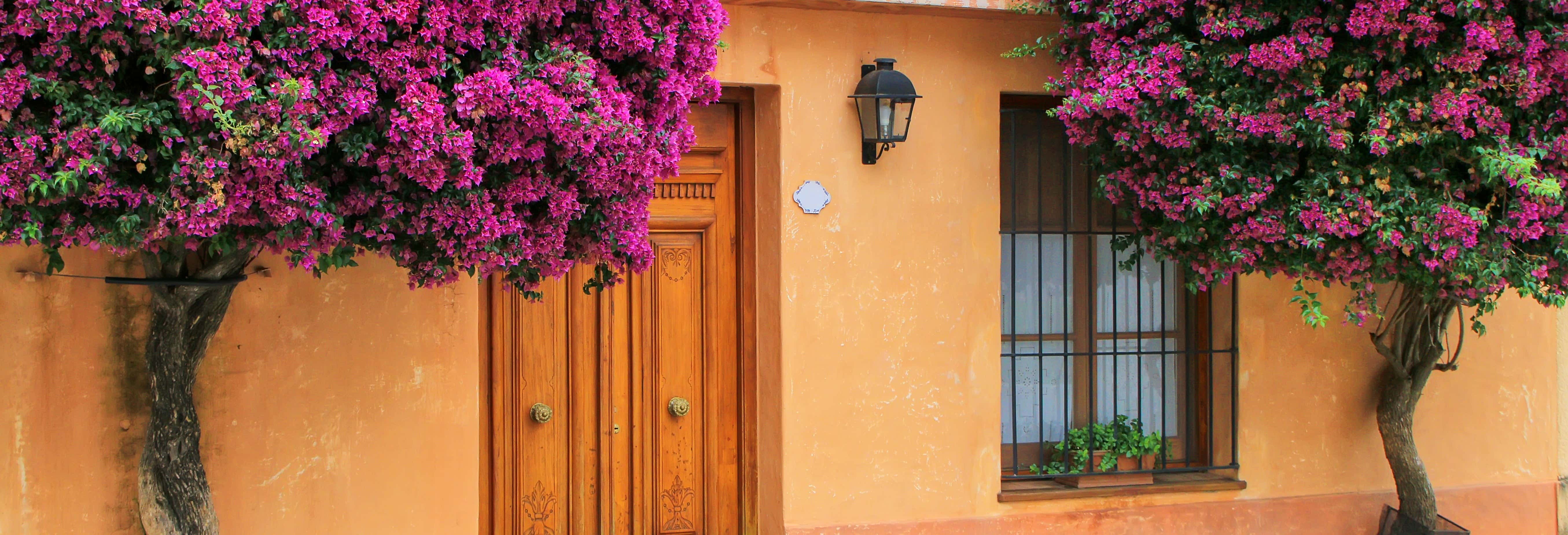 Colonia del Sacramento Day Trip + Sightseeing Bus