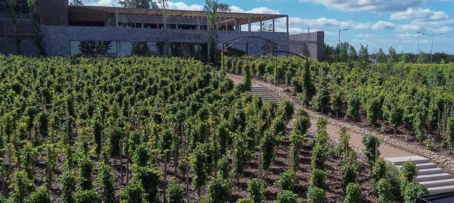 Escursione all'Estancia Vigil