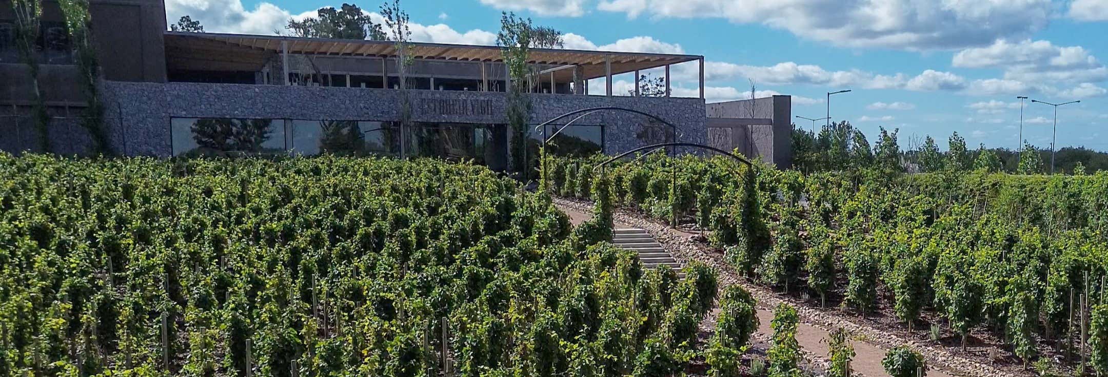 Escursione all'Estancia Vigil