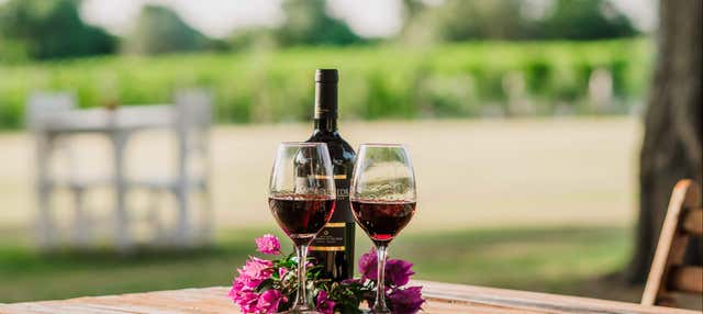 Traghetto per Colonia del Sacramento + Visita a una cantina