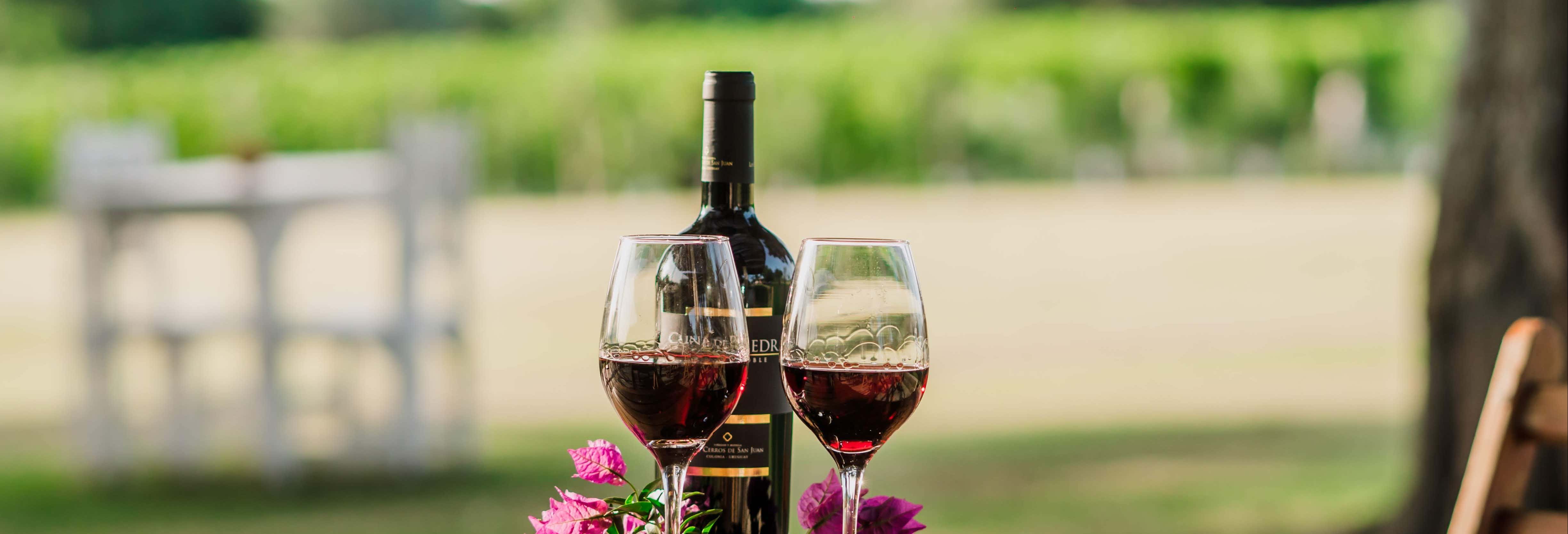 Ferry to Colonia del Sacramento + Winery Visit