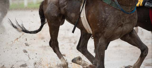 Tour della moschea e dell'ippodromo di Palermo