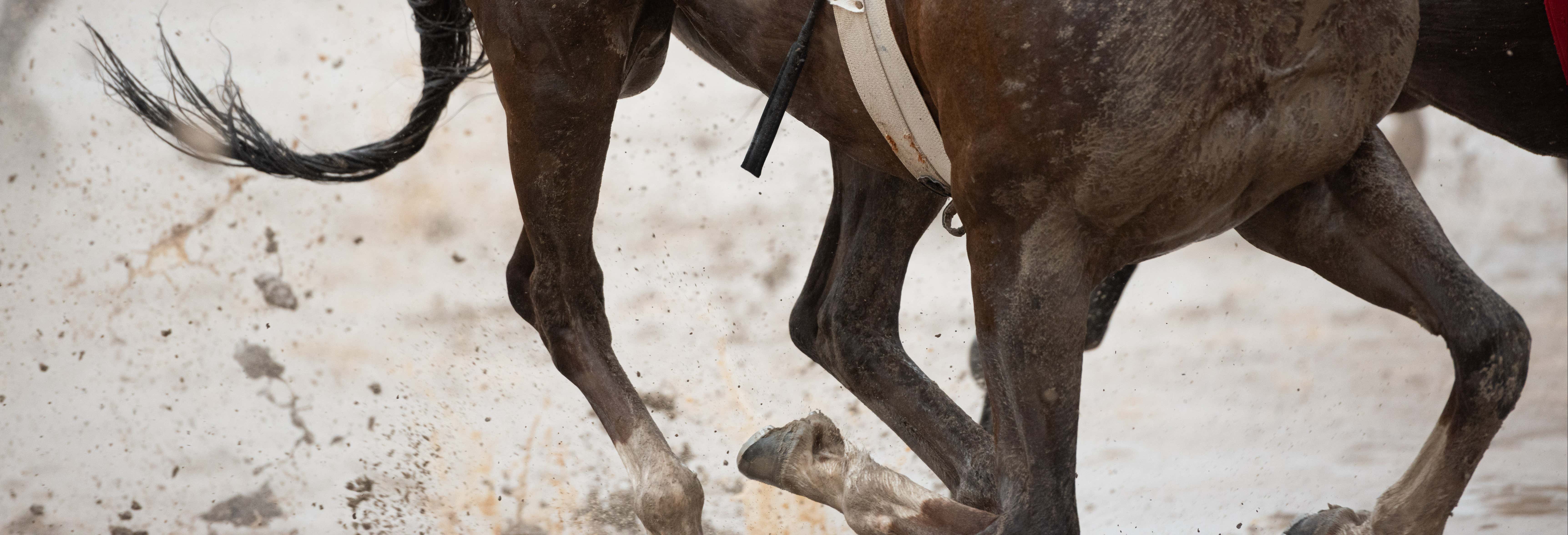 Tour della moschea e dell'ippodromo di Palermo