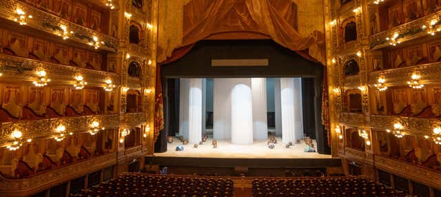 Visita guidata del Teatro Colón