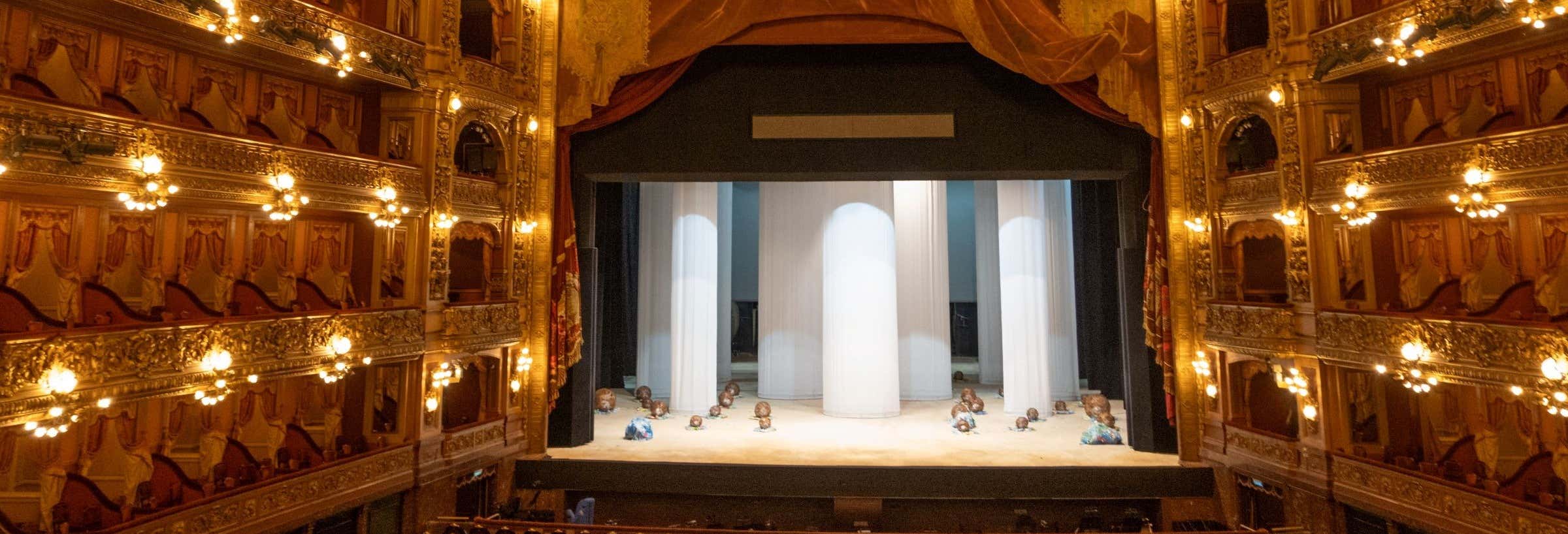 Visita guidata del Teatro Colón