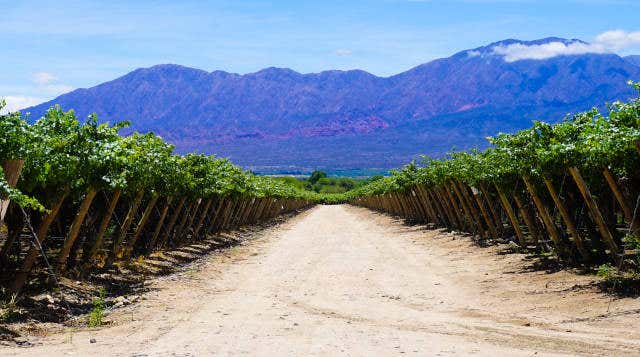 Cafayate