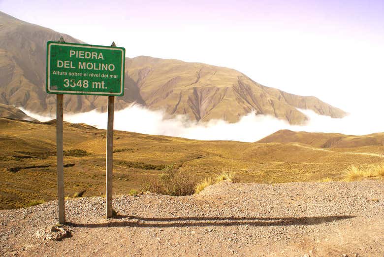 Imagen 3